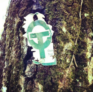 ozark trail tree marker