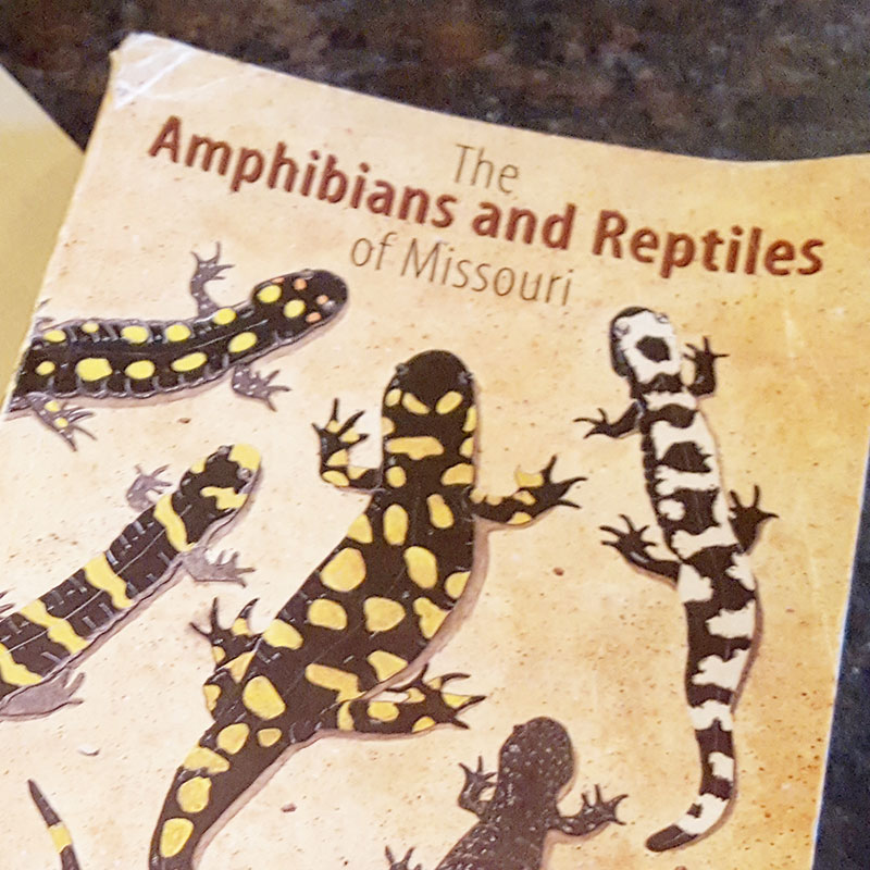 Amphibians and Reptiles of Missouri cover